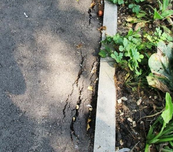 Экспертиза благоустройства